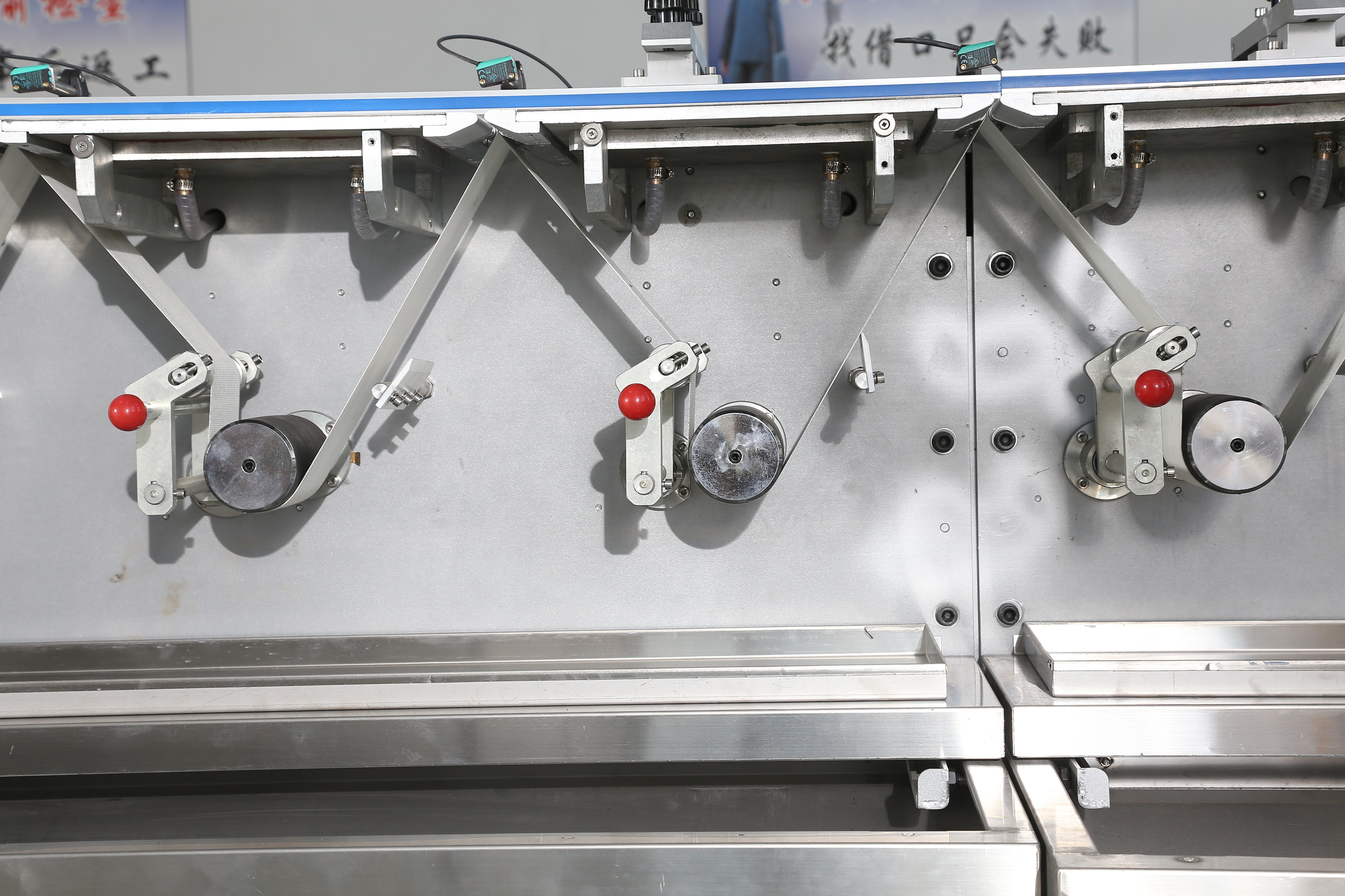 Dishwasher Tablets Packaging Machine(JY-L600)